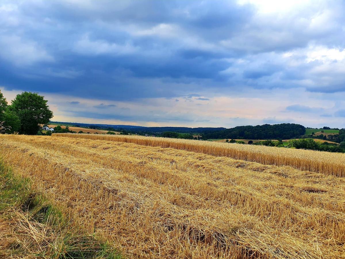 Ferienwohnung Im Siebengebirge Naehe Koeln/Bonn كونغسوينتر المظهر الخارجي الصورة