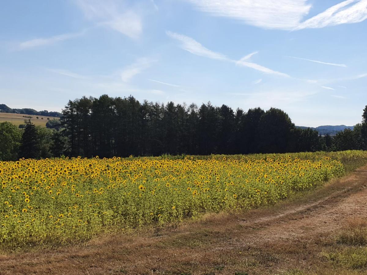 Ferienwohnung Im Siebengebirge Naehe Koeln/Bonn كونغسوينتر المظهر الخارجي الصورة